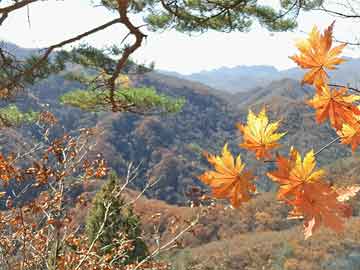 米非司酮片全国药店微信潘功胜：进一步完善清迈倡议机制、强化本区域金融安全网至关重要